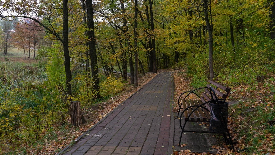 Фото: Юлия Мальцева