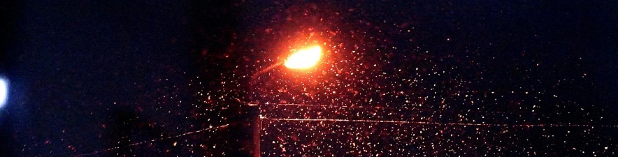 Фото: Сергей Егоров