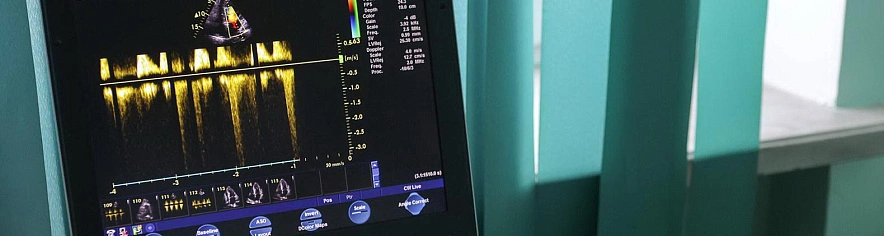 Фото: Антон Вергун