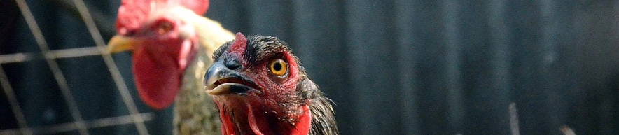 Фото: Сергей Егоров