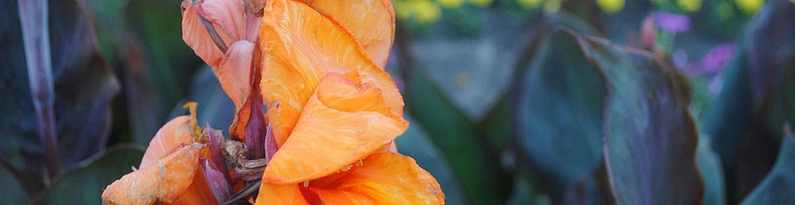 Фото: Сергей Егоров