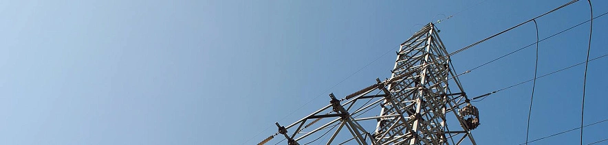 Фото: Сергей Егоров