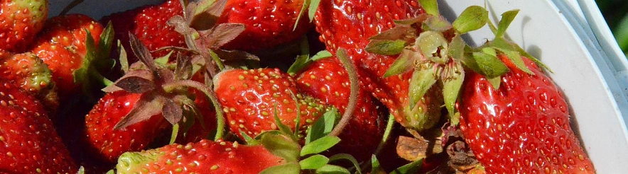 Фото: Сергей Егоров