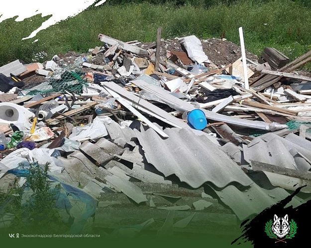 Фото: региональный экоохотнадзор