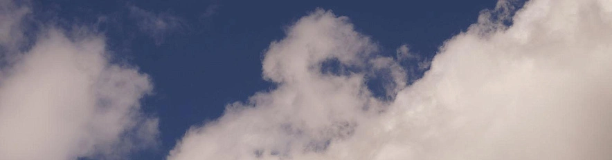 Фото: Сергей Егоров