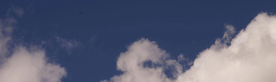 Фото: Сергей Егоров