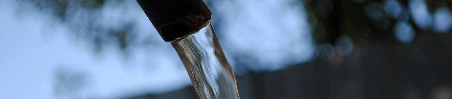 Фото: Сергей Егоров 