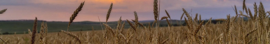 Фото: Юлия Мальцева