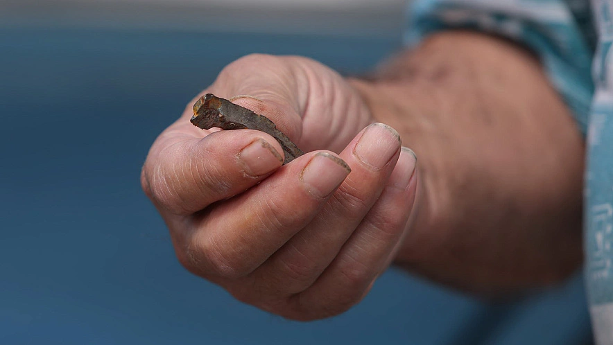 Фото: Антон Вергун