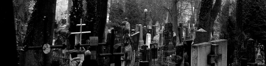 Фото: Сергей Егоров