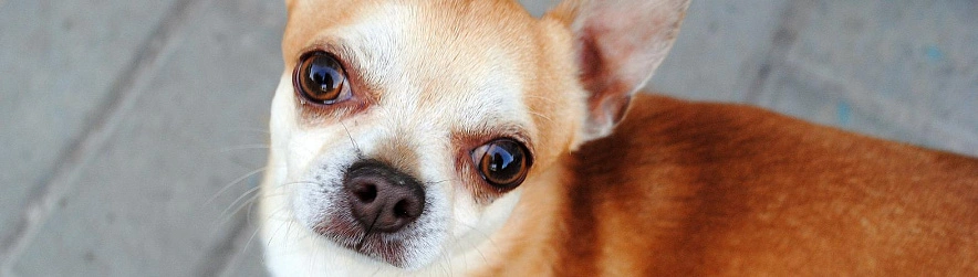 Фото: Сергей Егоров