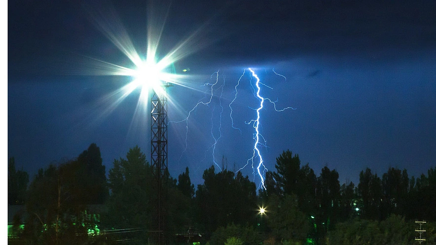 Фото: Антон Вергун