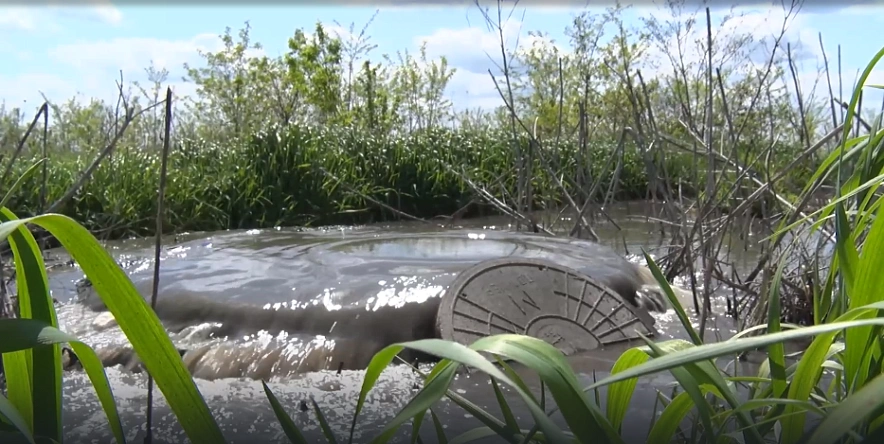 Фото: скриншот из видео Россельхзнадзора Белгородской области