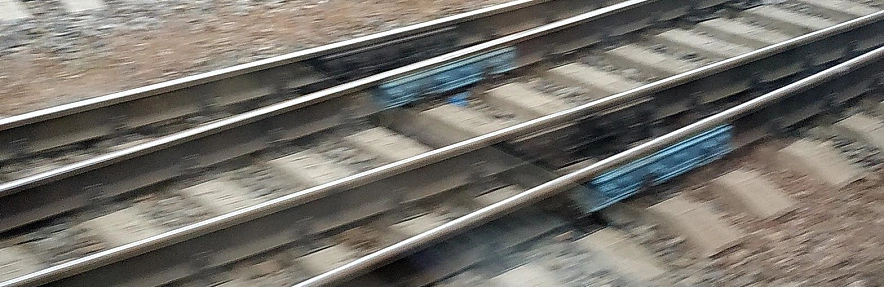 Фото: Сергей Егоров