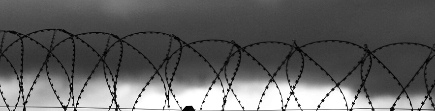 Фото: Сергей Егоров