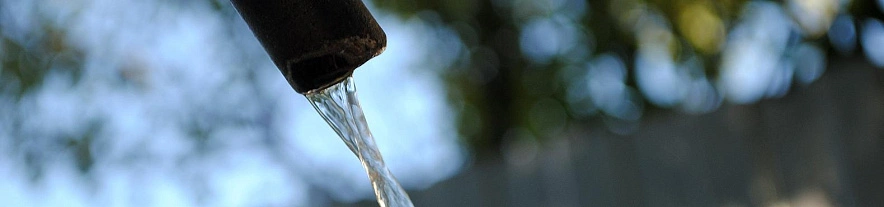 Фото: Сергей Егоров 