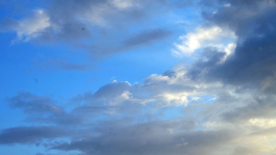 Фото: Сергей Егоров