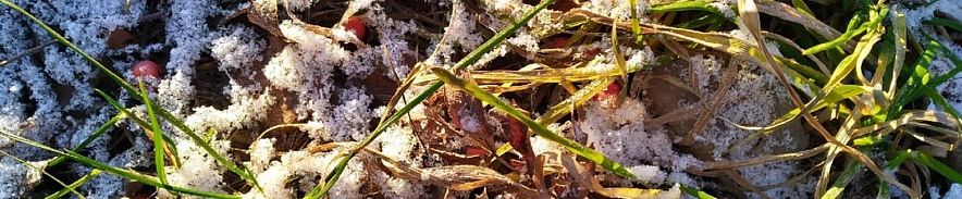 Фото: Сергей Егоров