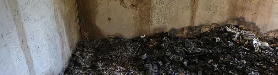 Фото: Антон Вергун