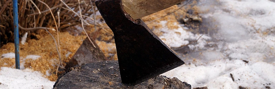 Фото: Сергей Егоров