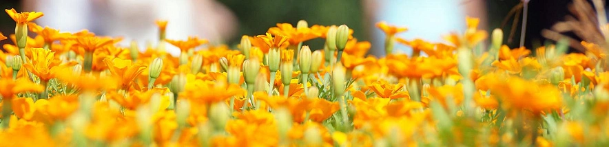 Фото: Сергей Егоров