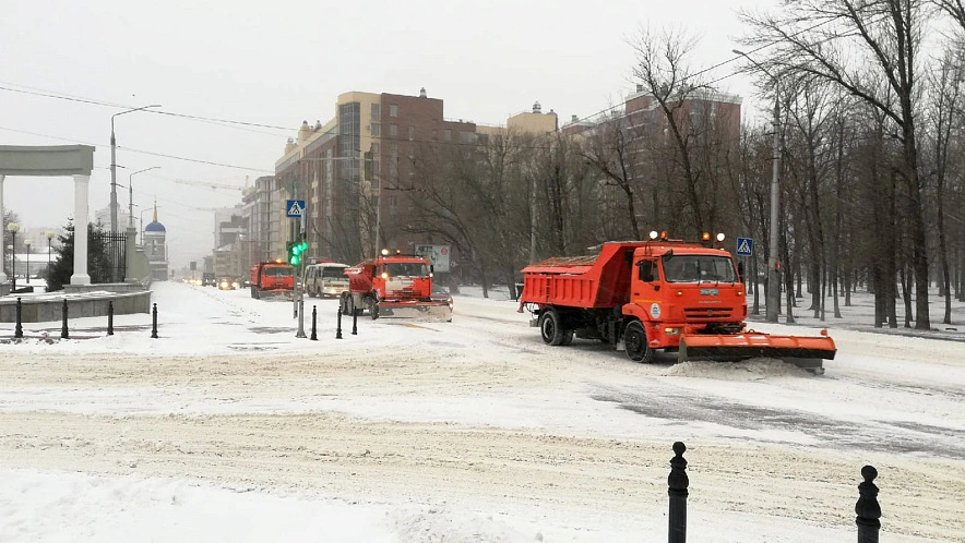 Фото: Сергей Кудрин