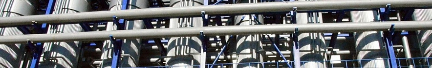 Фото: Виктория Передерий