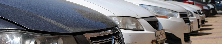 Фото: Сергей Егоров