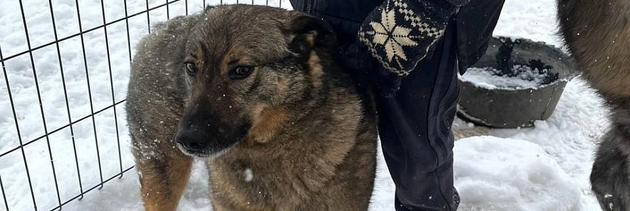 Фото: Анна Григор