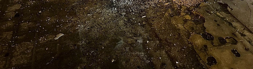 Фото: Анна Григор