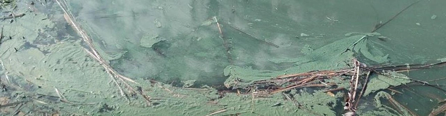 Фото: экоохотнадзор Белгородской области