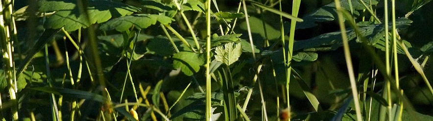 Фото: Сергей Егоров