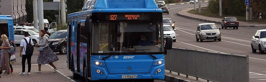 Фото: Сергей Егоров 