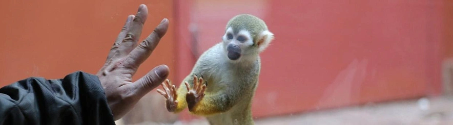 Фото: Белгородский зоопарк