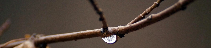 Фото: Сергей Егоров