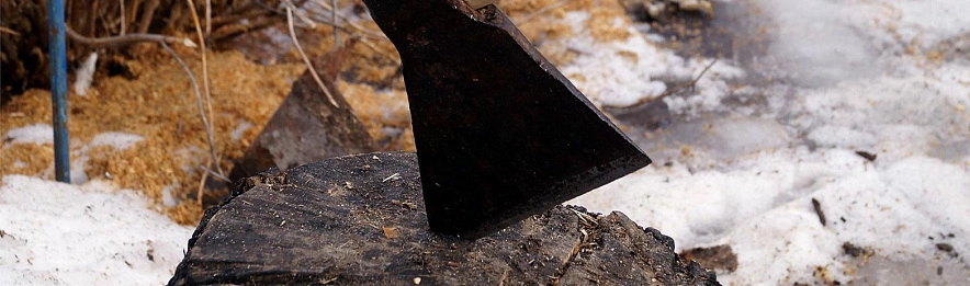 Фото: Сергей Егоров