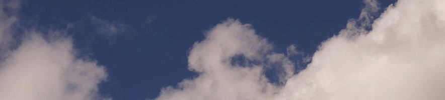 Фото: Сергей Егоров