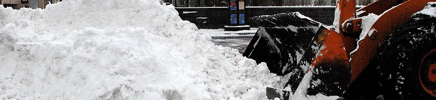 Фото: Сергей Егоров 