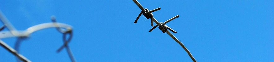 Фото: Оксана Булгакова