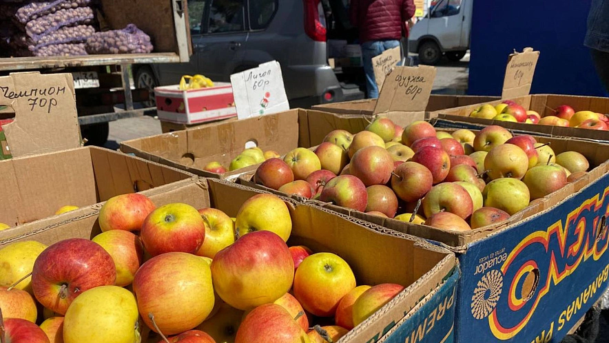 Фото: Алина Лабазова