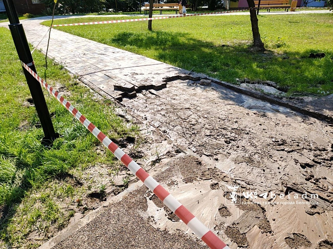 Фото: пресс-служба мэрии Белгорода