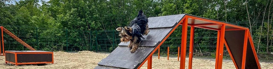 Фото: телеграм-канал Валентина Демидова