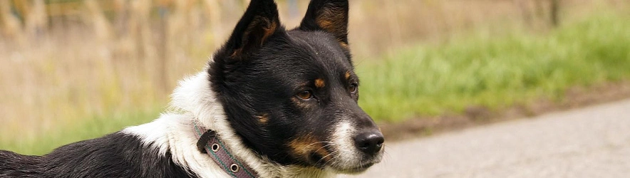 Фото: Сергей Егоров