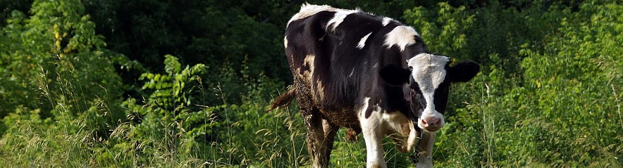 Фото: Сергей Егоров