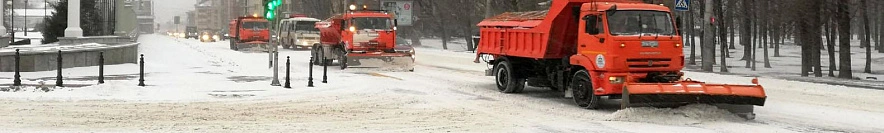 Фото: Сергей Кудрин