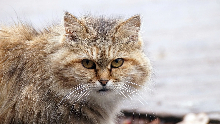 Фото: Сергей Егоров