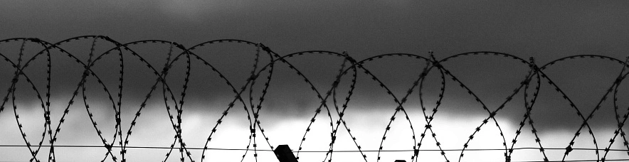 Фото: Сергей Егоров