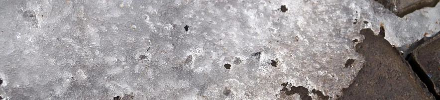 Фото: Сергей Егоров