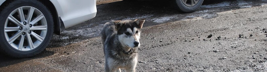 Фото: Анна Григор