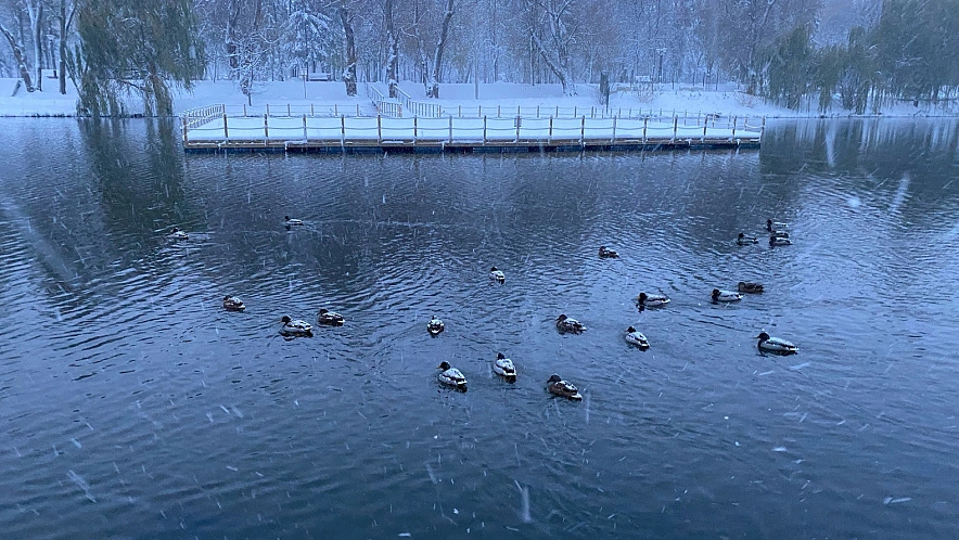Фото: Елена Иванова
